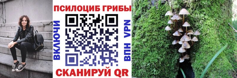 Псилоцибиновые грибы мухоморы  наркотики  Калачинск 